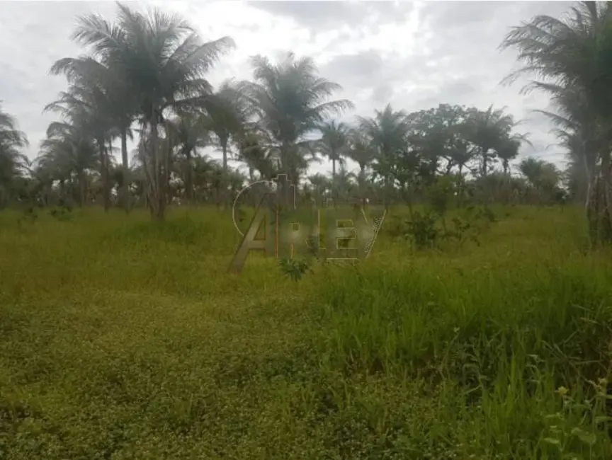 Fazenda / Haras à venda em Montes Claros - MG - imagem 8 Foto 8 de Fazenda / Haras à venda em Montes Claros - MG