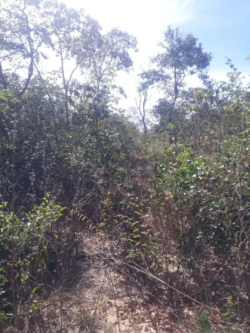 Foto 9 de Chácara com 4 quartos à venda em Montes Claros - MG