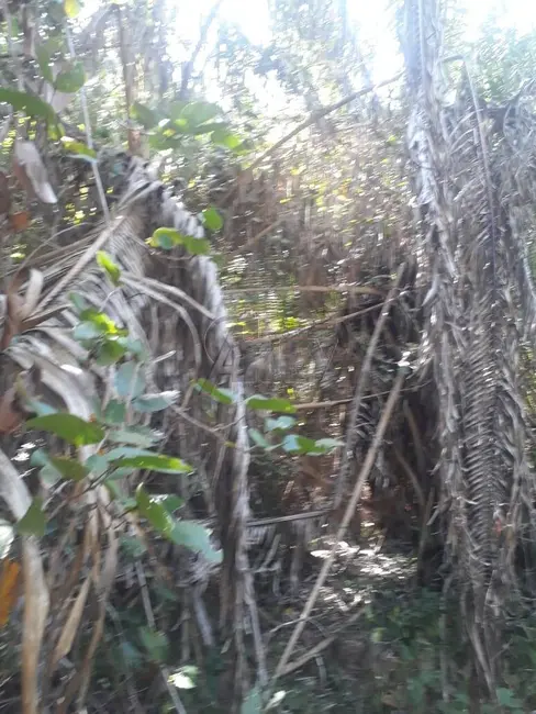 Foto 5 de Chácara com 4 quartos à venda em Montes Claros - MG