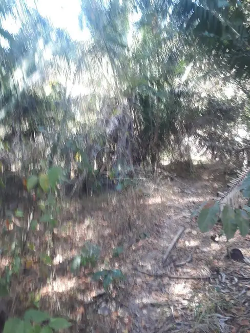 Foto 7 de Chácara com 4 quartos à venda em Montes Claros - MG