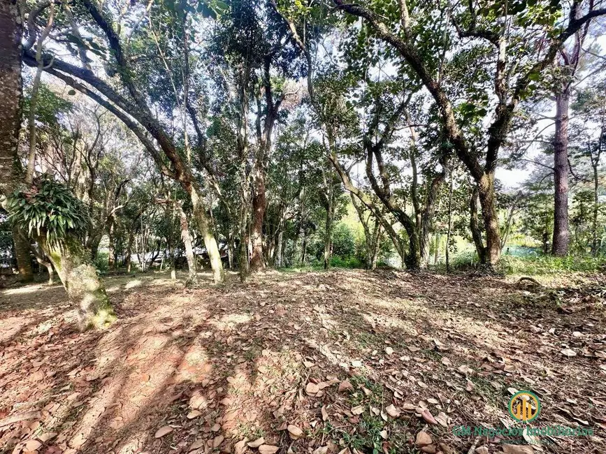 Foto 4 de Lote de Condomínio à venda, 1472m2 em Parque Rincão, Cotia - SP