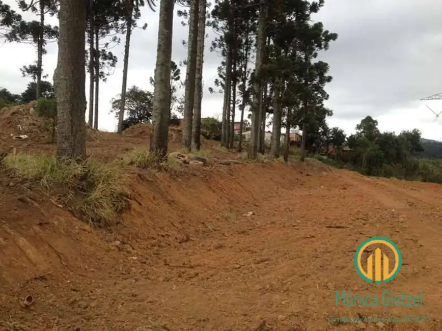 Foto 4 de Terreno / Lote à venda, 2743m2 em Jardim Sandra, Cotia - SP