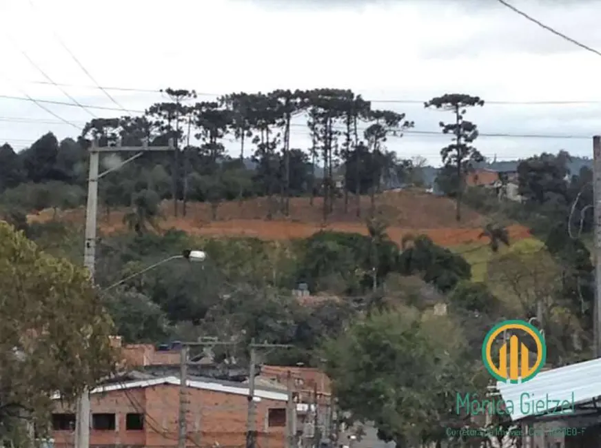Foto 6 de Terreno / Lote à venda, 2743m2 em Jardim Sandra, Cotia - SP
