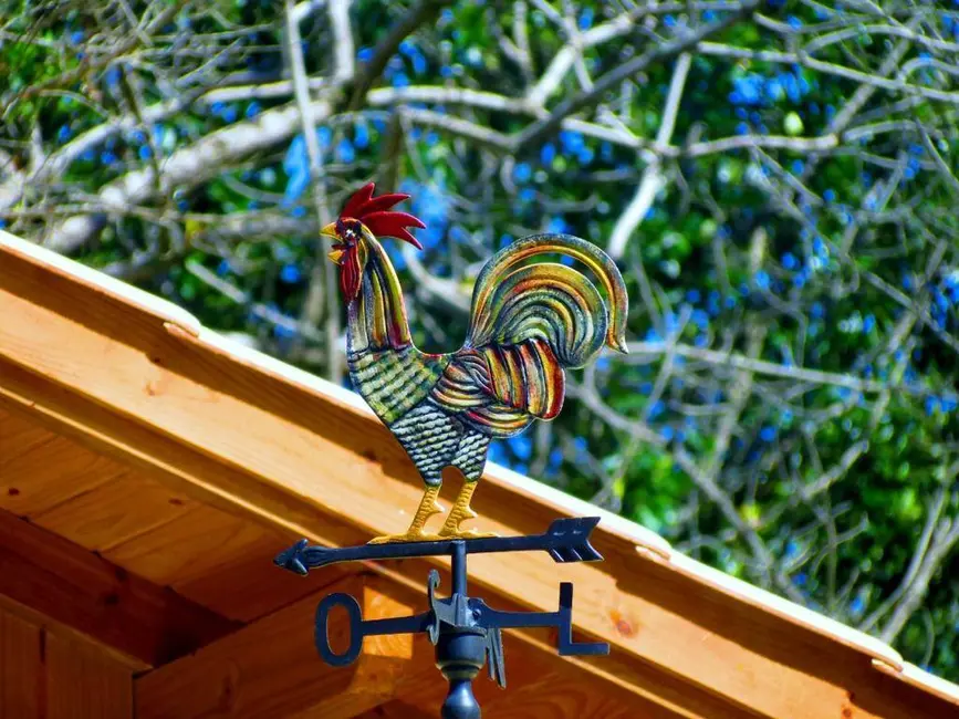 Foto 19 de Sala Comercial à venda em Centro, Bombinhas - SC