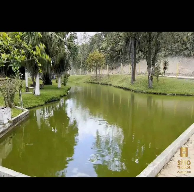 Foto 3 de Chácara com 4 quartos à venda, 123000m2 em Camboriu - SC