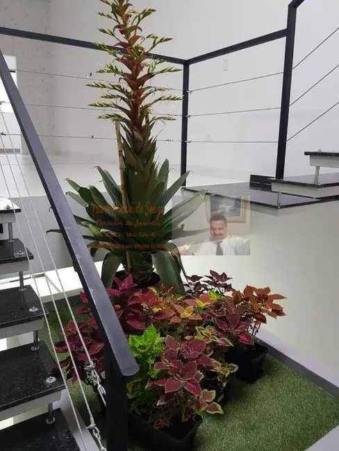 Foto 1 de Sobrado com 3 quartos à venda, 91m2 em Chácara Inglesa, São Paulo - SP