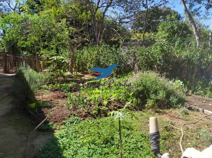 Foto 9 de Chácara com 3 quartos à venda, 2800m2 em Registro, Taubate - SP