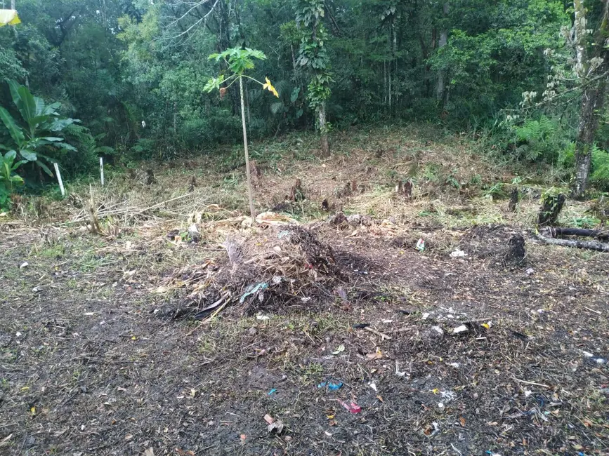 Chácara com 2 quartos à venda, 90m2 em Itanhaem - SP - imagem 6 Foto 6 de Chácara com 2 quartos à venda, 90m2 em Itanhaem - SP