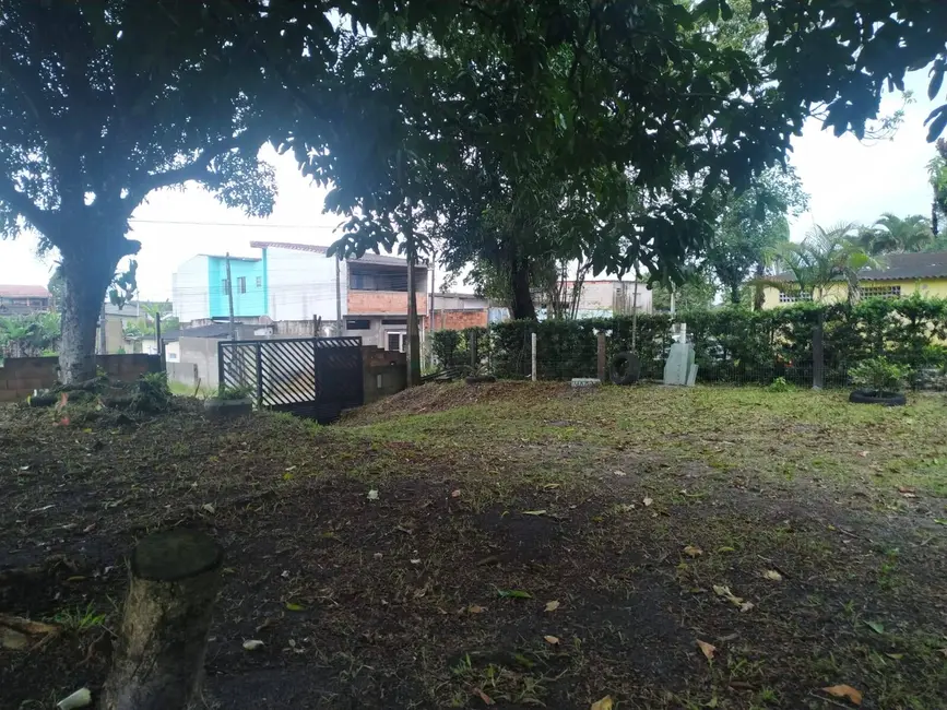 Chácara com 2 quartos à venda, 90m2 em Itanhaem - SP - imagem 7 Foto 7 de Chácara com 2 quartos à venda, 90m2 em Itanhaem - SP