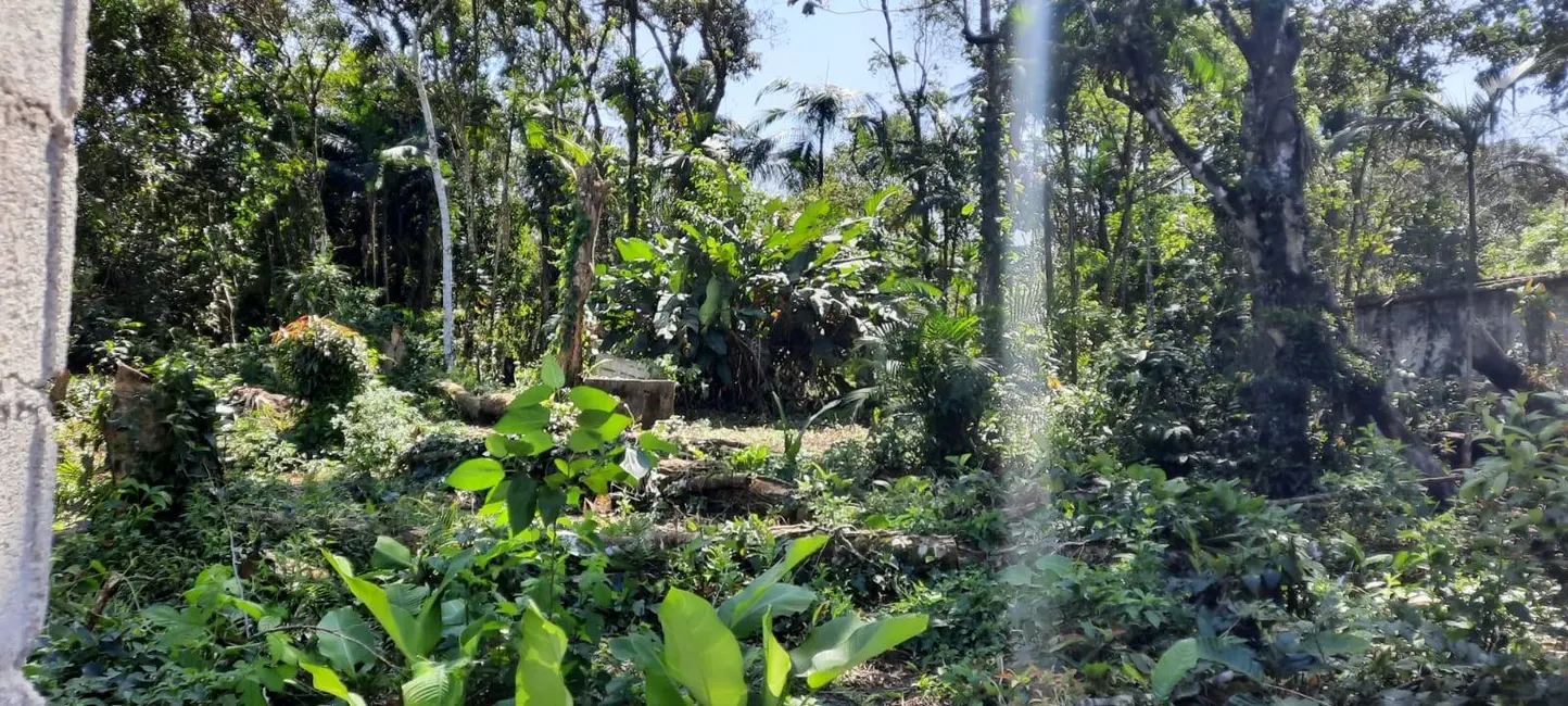 Foto 9 de Sala Comercial à venda, 30m2 em Itanhaem - SP