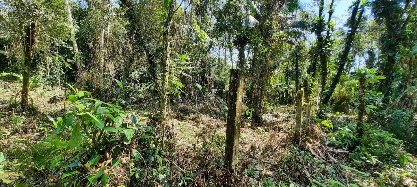 Lote de Condomínio à venda, 1000m2 em Itanhaem - SP - imagem 3 Foto 3 de Lote de Condomínio à venda, 1000m2 em Itanhaem - SP