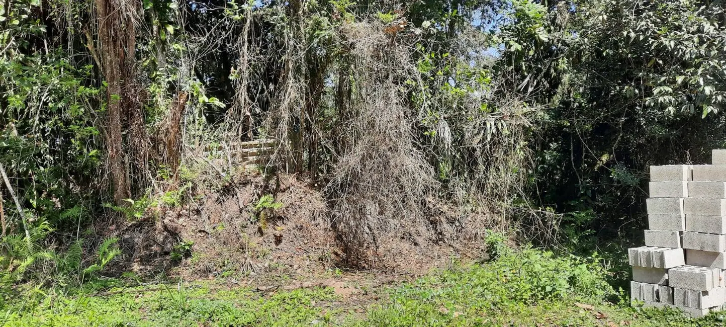Lote de Condomínio à venda, 1000m2 em Itanhaem - SP - imagem 3 Foto 3 de Lote de Condomínio à venda, 1000m2 em Itanhaem - SP