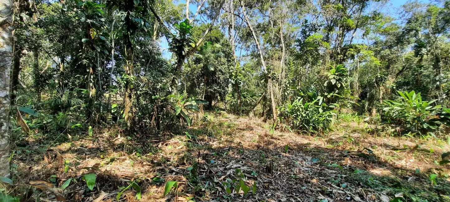 Foto 2 de Lote de Condomínio à venda, 1000m2 em Itanhaem - SP