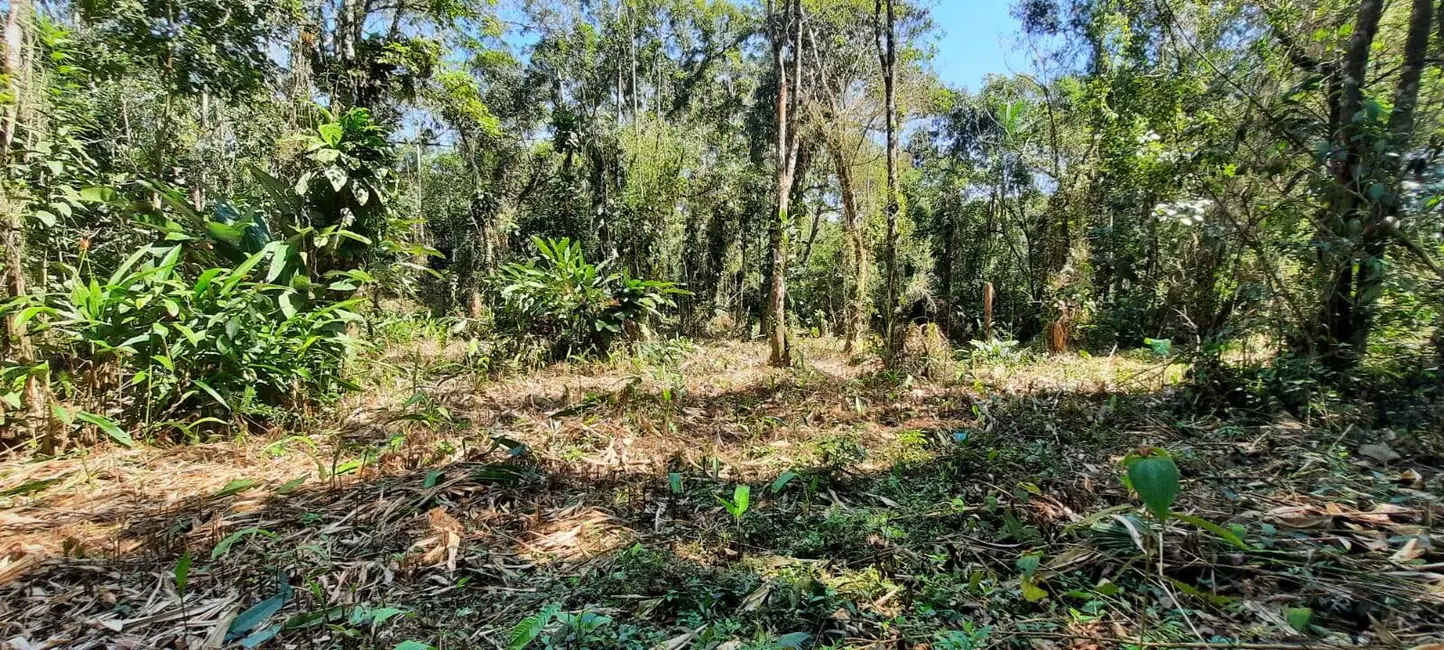 Foto 1 de Lote de Condomínio à venda, 1000m2 em Itanhaem - SP