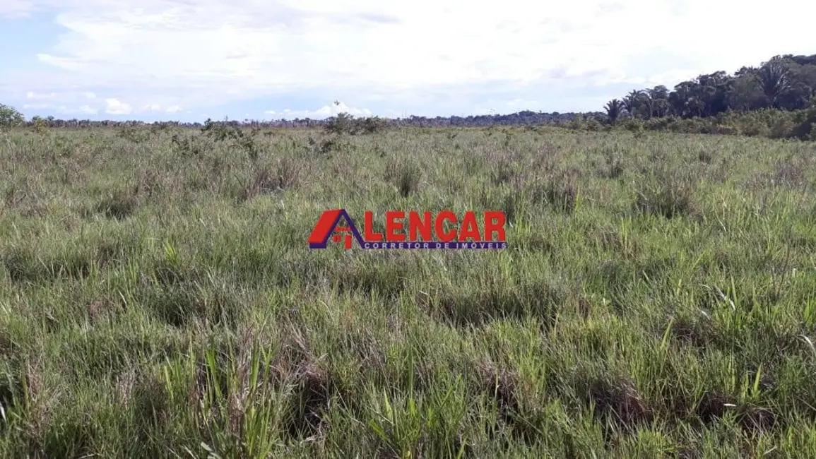 Foto 7 de Fazenda / Haras à venda, 8190143m2 em Centro, Humaita - AM