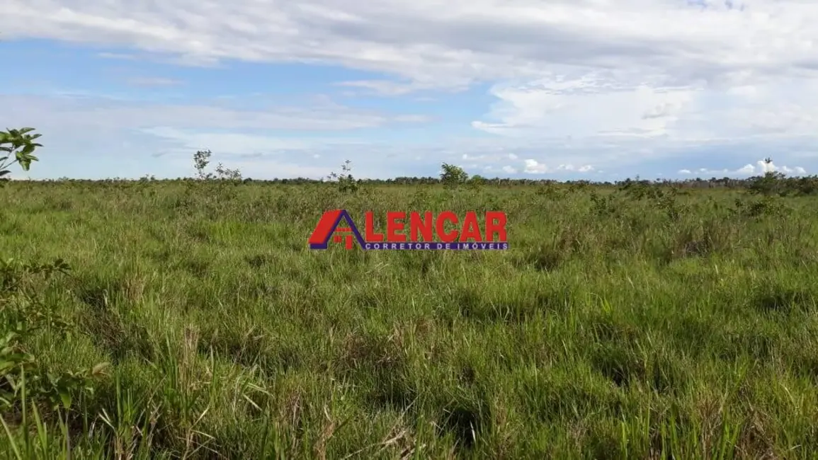 Foto 6 de Fazenda / Haras à venda, 8190143m2 em Centro, Humaita - AM