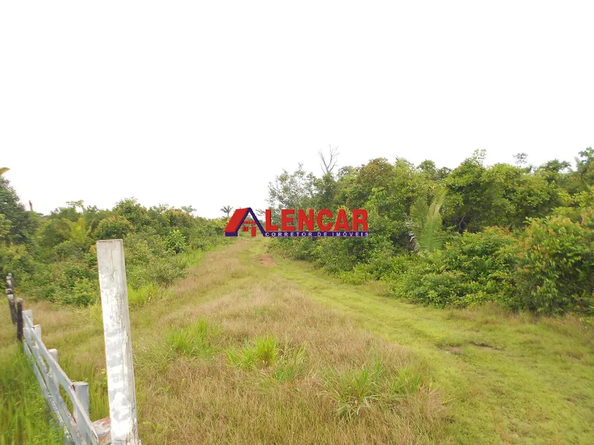 Foto 7 de Fazenda / Haras à venda, 212m2 em Área Rural de Porto Velho, Porto Velho - RO