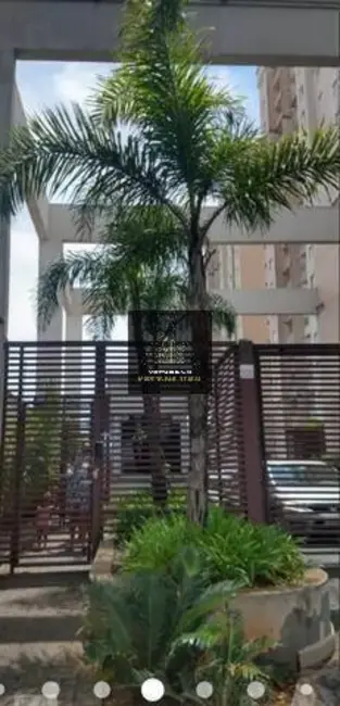 Foto 3 de Apartamento com 2 quartos à venda, 45m2 em Vila Nova Cachoeirinha, São Paulo - SP