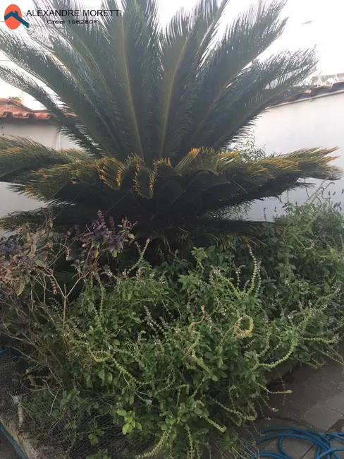 Foto 5 de Casa com 2 quartos para alugar, 250m2 em Jardim Brasilândia, Sorocaba - SP