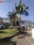 Imagem 11