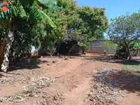 Imagem 4