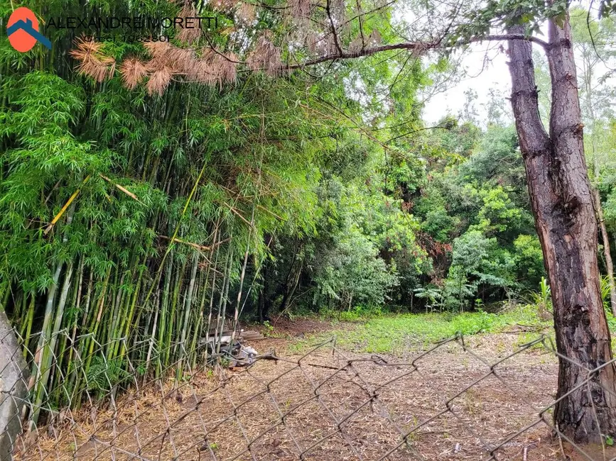 Foto 9 de Chácara com 3 quartos à venda, 2380m2 em Piedade - SP