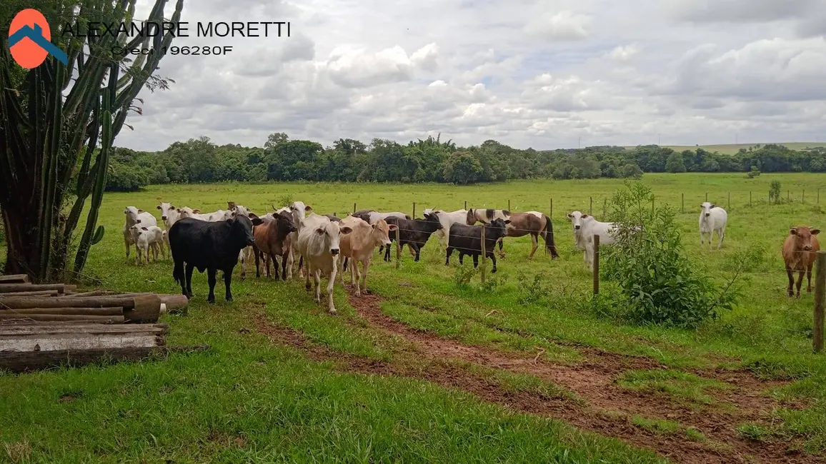 Foto 1 de Chácara à venda, 18m2 em Aracoiaba Da Serra - SP