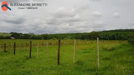 Imagem 7