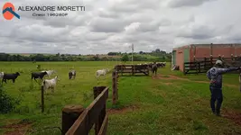 Imagem 6