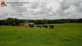 Imagem 8