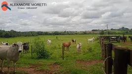 Imagem 5