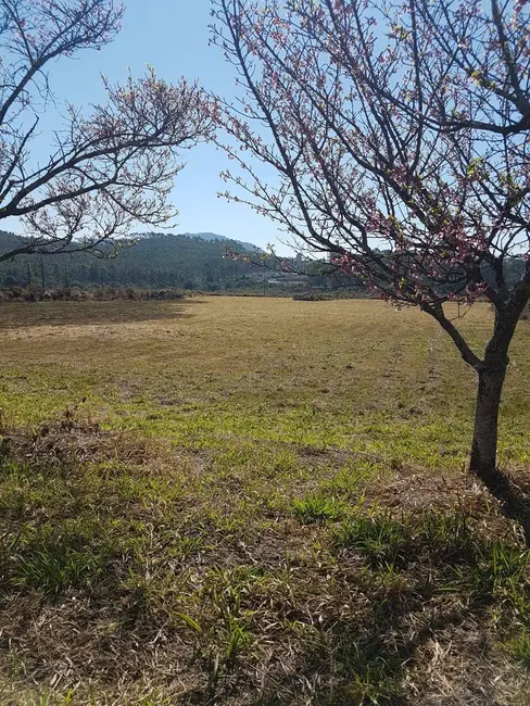 Terreno / Lote à venda, 10934m2 em Bortolan Sul, Pocos De Caldas - MG - imagem 5 Foto 5 de Terreno / Lote à venda, 10934m2 em Bortolan Sul, Pocos De Caldas - MG