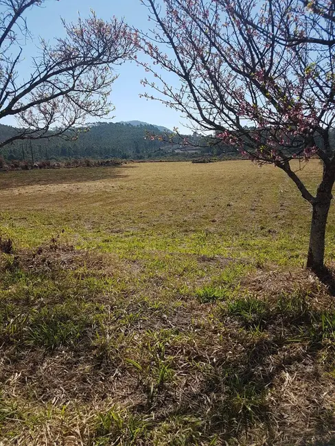 Terreno / Lote à venda, 10934m2 em Bortolan Sul, Pocos De Caldas - MG - imagem 3 Foto 3 de Terreno / Lote à venda, 10934m2 em Bortolan Sul, Pocos De Caldas - MG