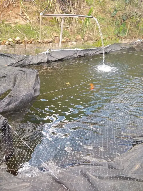 Foto 3 de Chácara com 2 quartos à venda, 5360m2 em Zona Rural, Pocos De Caldas - MG
