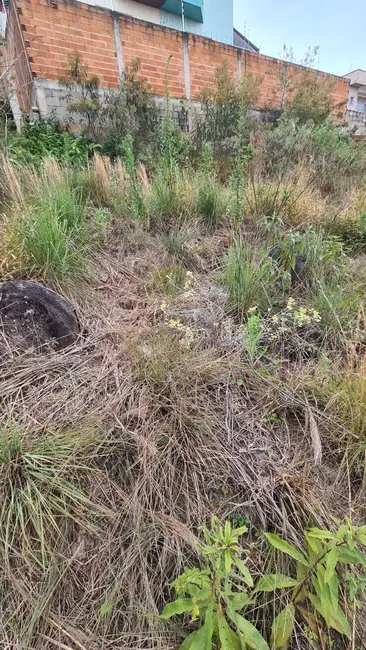 Terreno / Lote à venda, 620m2 em Loteamento Residencial Tiradentes, Pocos De Caldas - MG - imagem 8 Foto 8 de Terreno / Lote à venda, 620m2 em Loteamento Residencial Tiradentes, Pocos De Caldas - MG