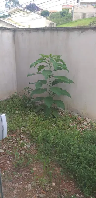 Foto 8 de Apartamento com 2 quartos à venda, 59m2 em Residencial Veredas, Pocos De Caldas - MG