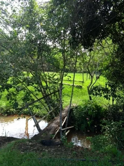 Foto 7 de Sítio / Rancho com 4 quartos à venda, 20000m2 em Centro, Botelhos - MG