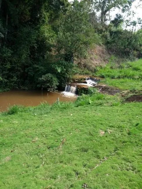 Foto 8 de Sítio / Rancho com 4 quartos à venda, 20000m2 em Centro, Botelhos - MG
