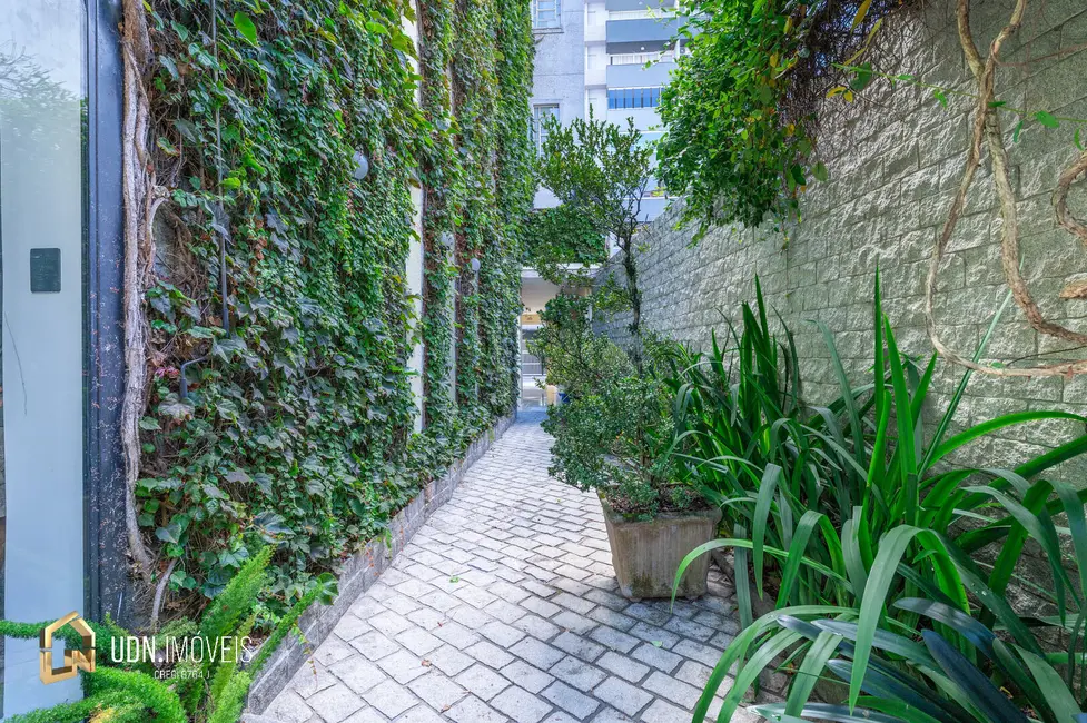 Foto 6 de Sala Comercial para alugar, 234m2 em Centro, Blumenau - SC