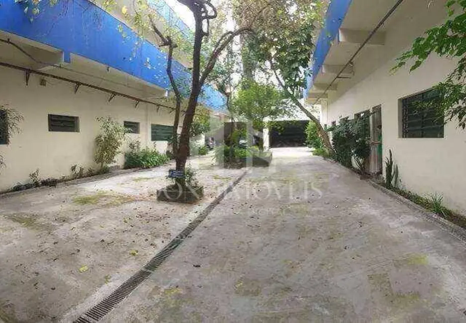 Foto 8 de Sala Comercial à venda, 1000m2 em Nova Petrópolis, Sao Bernardo Do Campo - SP