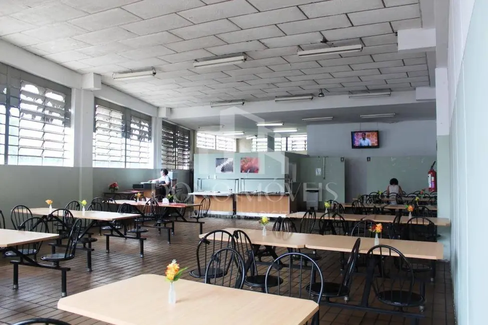 Foto 2 de Armazém / Galpão à venda, 6203m2 em Vila Ribeiro de Barros, São Paulo - SP