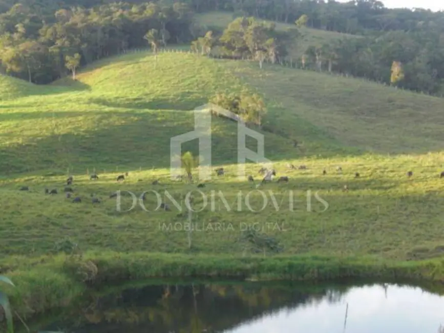 Terreno / Lote à venda, 195000m2 em Parque Santa Rosa, Suzano - SP - imagem 8 Foto 8 de Terreno / Lote à venda, 195000m2 em Parque Santa Rosa, Suzano - SP