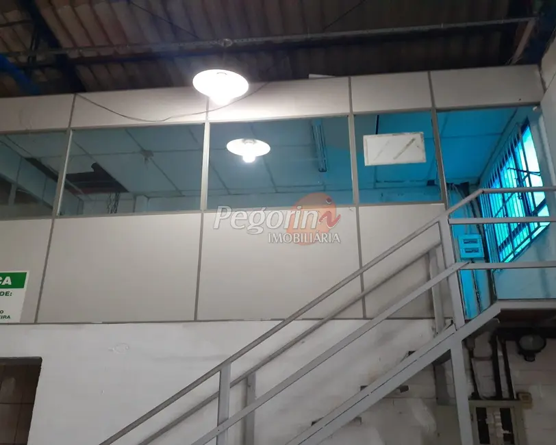 Foto 4 de Armazém / Galpão para alugar, 250m2 em Anchieta, Porto Alegre - RS