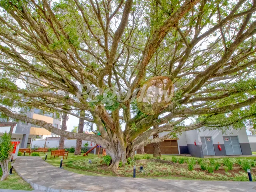 Foto 7 de Apartamento com 3 quartos à venda, 77m2 em Camaquã, Porto Alegre - RS