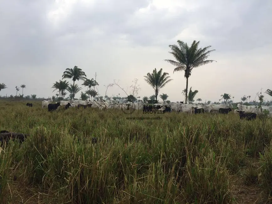 Foto 5 de Fazenda / Haras com 4 quartos à venda, 16777215m2 em Itauba - MT