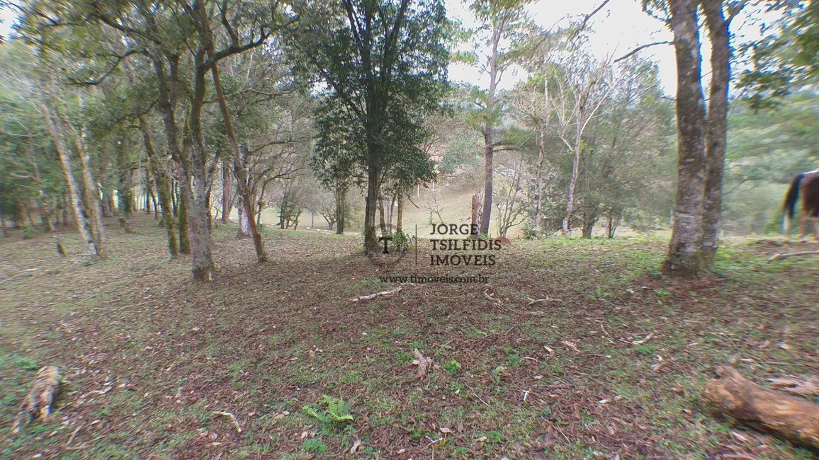 Foto 8 de Sítio / Rancho com 5 quartos à venda, 237000m2 em Ponta Grossa - PR