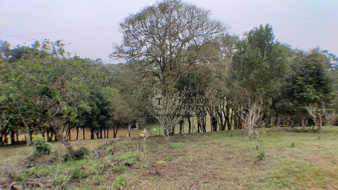 Foto 9 de Sítio / Rancho com 5 quartos à venda, 237000m2 em Ponta Grossa - PR