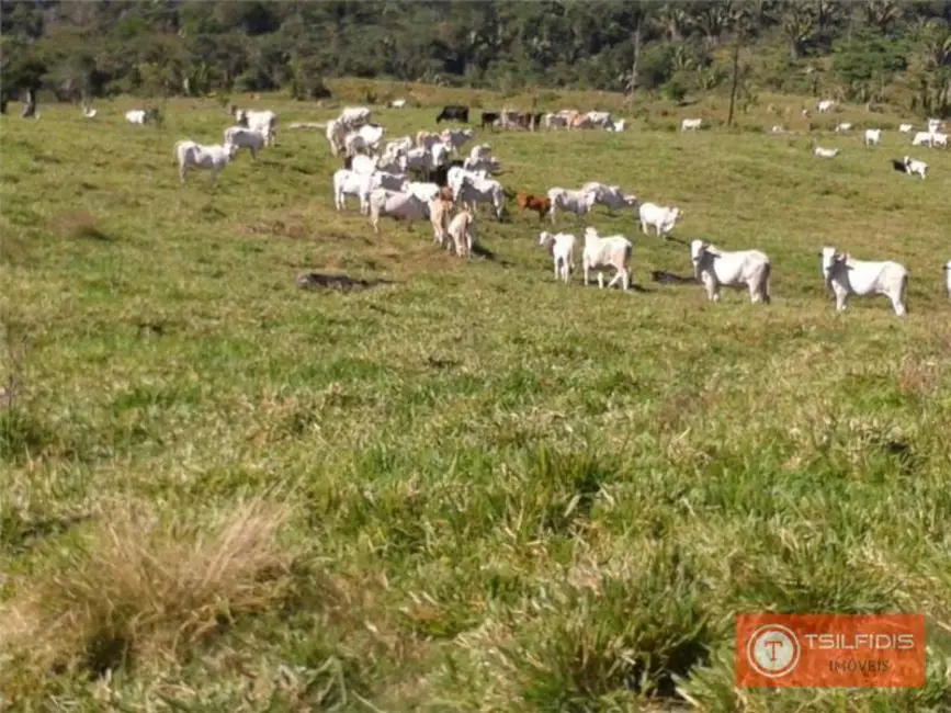 Foto 1 de Fazenda / Haras com 6 quartos à venda, 16777215m2 em Juina - MT