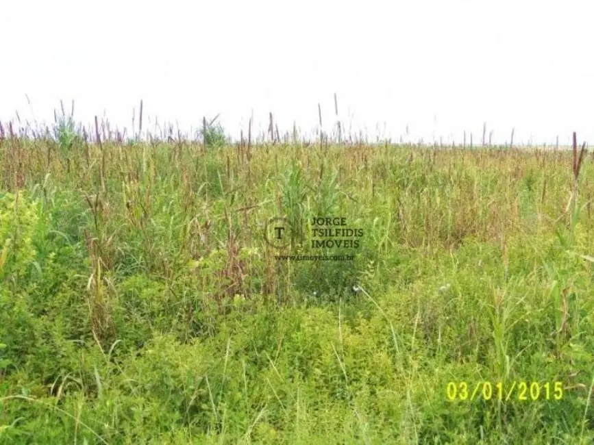 Fazenda / Haras com 2 quartos à venda, 16777215m2 em Centro, Nova Brasilandia - MT - imagem 6 Foto 6 de Fazenda / Haras com 2 quartos à venda, 16777215m2 em Centro, Nova Brasilandia - MT