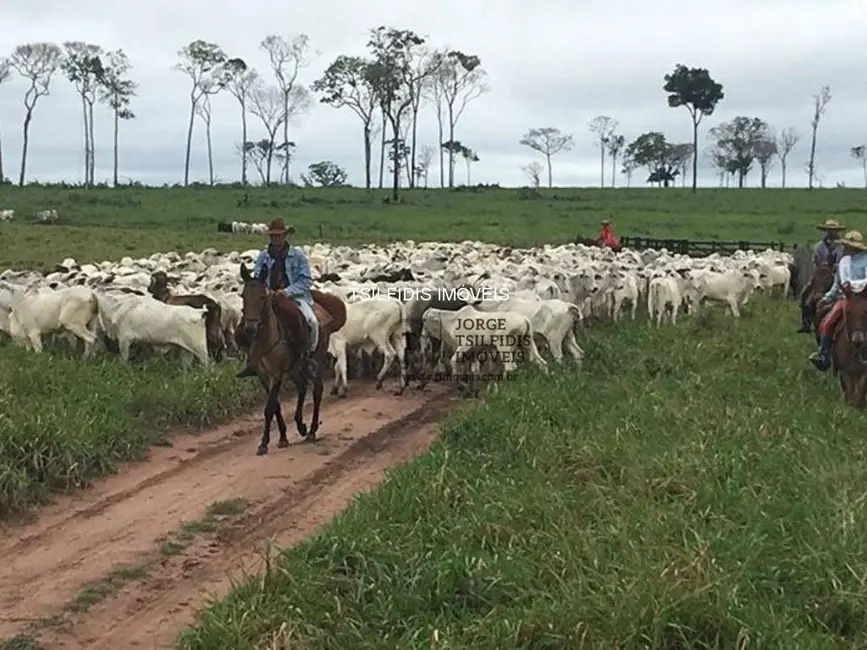 Fazenda / Haras com 20 quartos à venda, 16777215m2 em Centro, Aripuana - MT - imagem 3 Foto 3 de Fazenda / Haras com 20 quartos à venda, 16777215m2 em Centro, Aripuana - MT